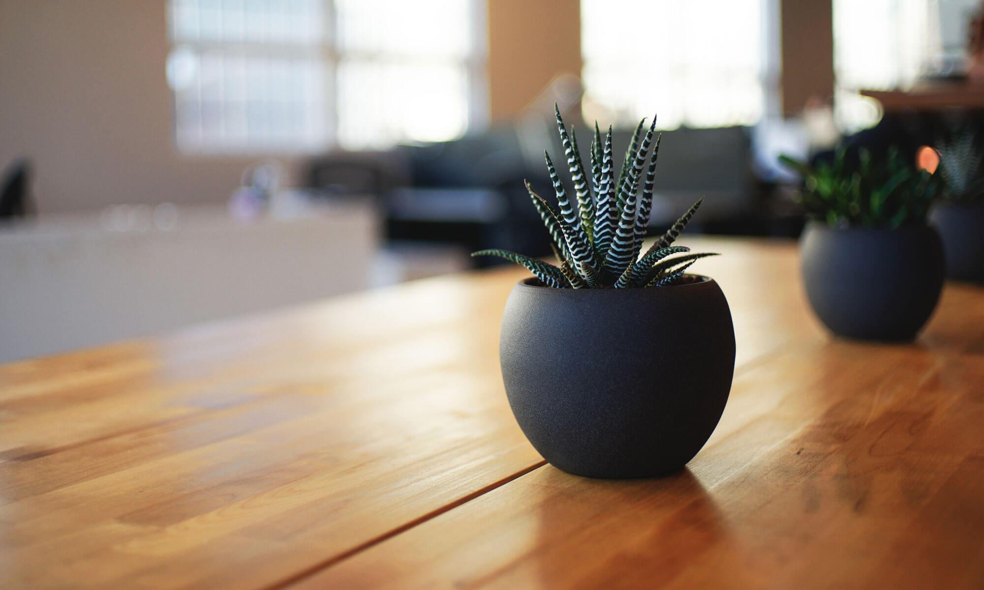 online-marketing-mentor.de